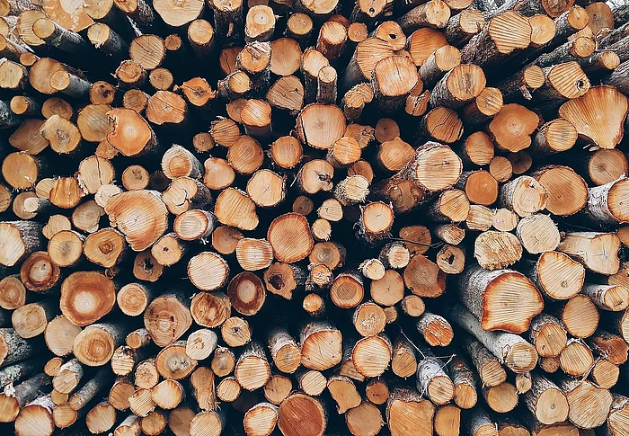 Bild von Pexels auf Pixabay